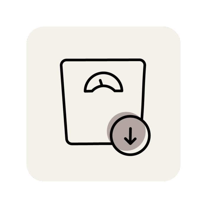 Meter Icon